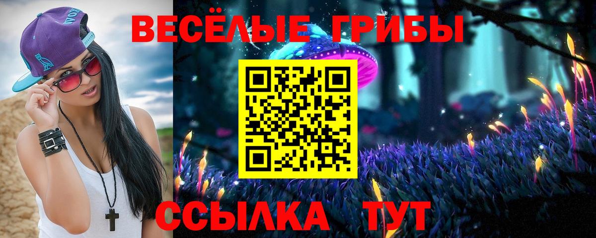 Галлюциногенные грибы Psilocybe Чистополь